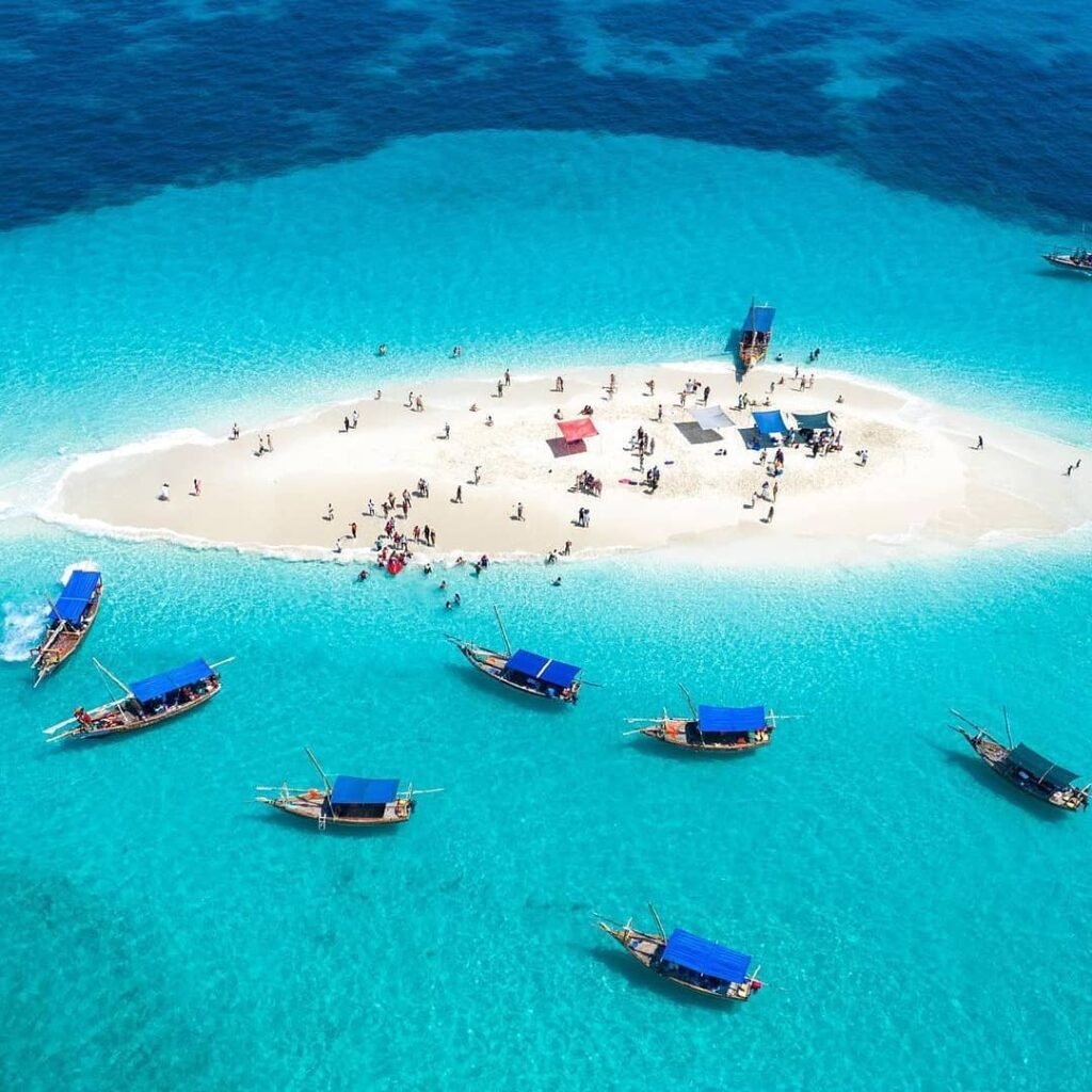 Tanzania safari and Zanzibar beach