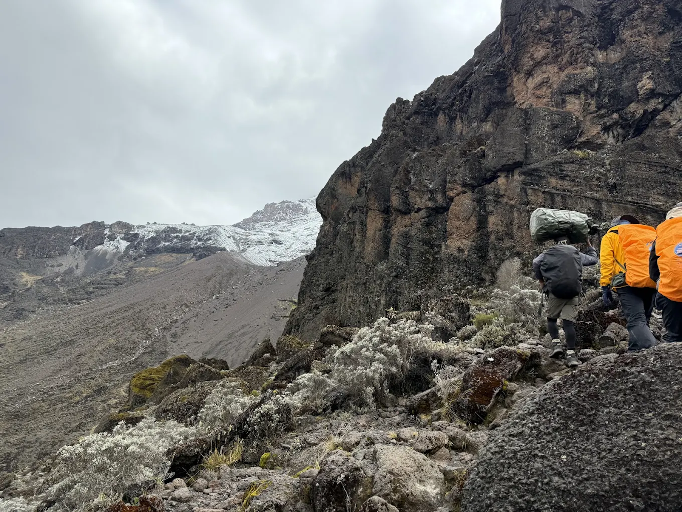 Climbers on the Barranco Wall — one of the most dramatic sections of the Machame and Lemosho routes on Kilimanjaro