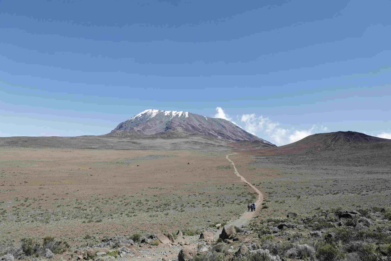 Trekkers hiking through the Shira Plateau on the Machame Route, Mount Kilimanjaro.